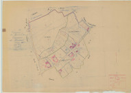 Rivières-Henruel (Les) (51463). Section D1 échelle 1/1000, plan mis à jour pour 1955, plan non régulier (papier)